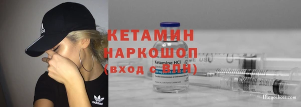 гидра Арсеньев