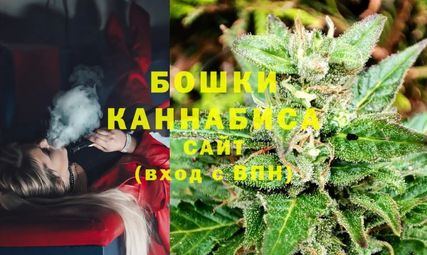 гашик Ростов
